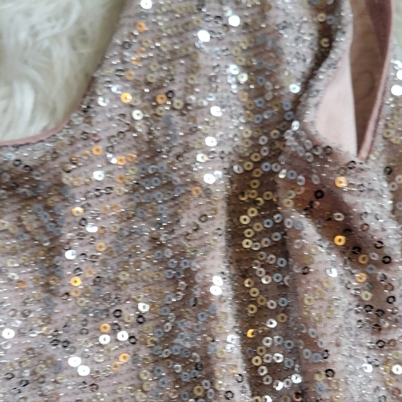 Express Champagne Sequin Dress - Picture 9 of 12